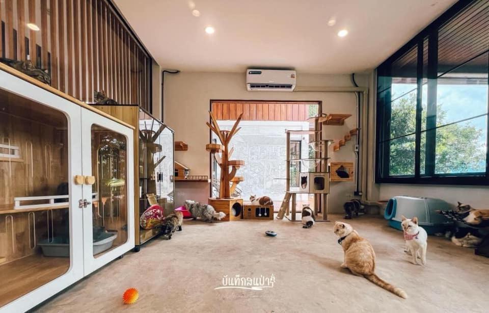 Amaze At Themyth Apartment Mae Rim Exterior photo